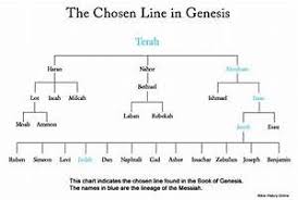 Noah To 12 Patriarchs Genealogy Chart Noah Abrahams