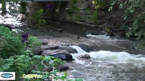 Relaxation - ZEN 10 - eau qui coule - hypnosis water - LaRPV.tv - YouTube