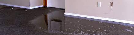 carpet water damage repair in