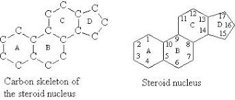 lipids