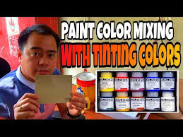 Tips On Using Boysen Colorants You