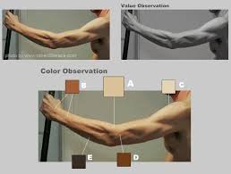 skin color palette tutorial 5 tips
