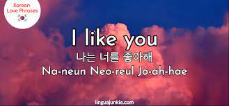 i like you i love you in korean