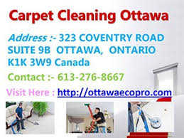 carpet cleaning ottawa powerpoint