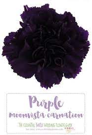 Did you scroll all this way to get facts about dark purple flowers? The Complete Guide To Purple Wedding Flowers Purple Flower Names Purple Wedding Flowers Flower Centerpieces Wedding Wedding Flowers