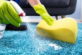 how to clean up vomit from carpet