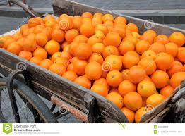 A Chart Full Of Oranges Stock Image Image Of Vitamin