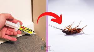 5 best roach s you can in