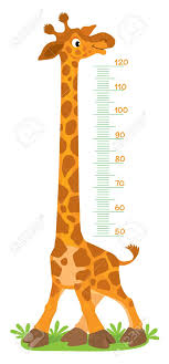 Giraffe Meter Wall Or Height Chart