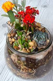 Diy Succulent And Cacti Terrarium