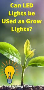 Do plants need special light to grow. Can Led Lights Be Used As Grow Lights Lighting Tutor