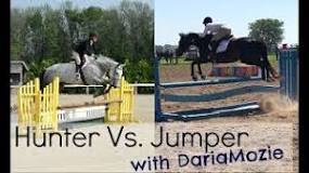 what-is-difference-between-hunter-and-jumper