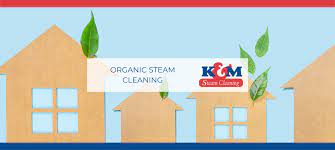 organic carpet cleaning services in