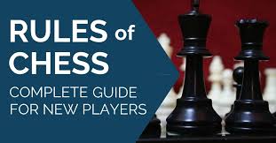 The chess board is a checkered board made up of eight vertical columns, called files, and eight horizontal rows, called ranks. Rules Of Chess The Complete Guide For New Player At Thechessworld Com