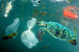 These images show the true impact of plastics on our oceans | loveexploring.com