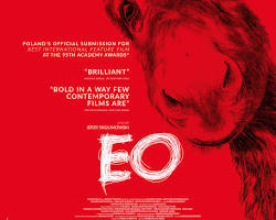 EO (2023) movie poster