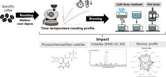 The whole roasting process is fast, taking anywhere from 10 minutes and 16 minutes. Chemical And Sensory Evaluation Of Cold Brew Coffees Using Different Roasting Profiles And Brewing Methods Food Research International X Mol