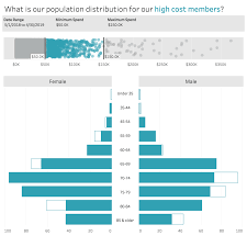 How To Make Your Population Pyramids Pop In Tableau My