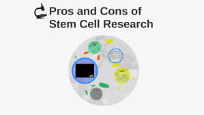 Pros And Cons Of Stem Cell Research By Bria Banks On Prezi