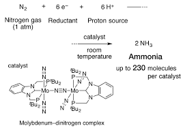 Team Creates Ammonia Synthesis Catalyst