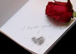love you written with red rose