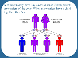 Group 13 625 624 Tay Sachs Disease Lessons Tes Teach