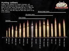 Bullet Caliber Comparison Charts X 58 Sub Silent