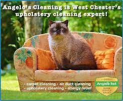 upholstery cleaning in west chester pa