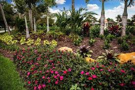 great south florida landscaping ideas