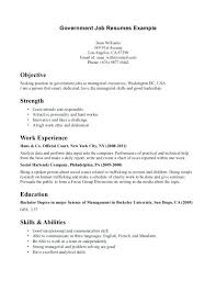Best Ideas Of Application Letter For Government Work Resume For