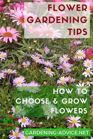 Grow Flowers Flower Gardening Advice