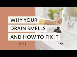 Why Your Drain Smells And How To Fix It