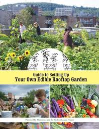 Edible Rooftop Gardening Survival