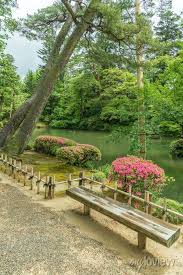 Wooden Seat In Idyllic Japanese Garden