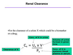 Renal Function Flashcards