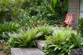 How To Use Ferns In Your Garden Landscape