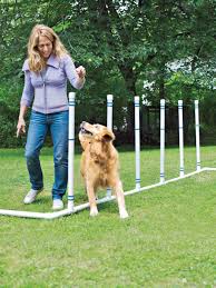 how to build a diy dog agility course