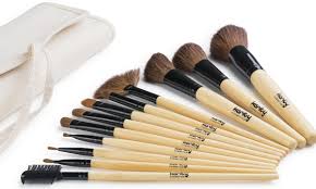 karity 12 piece makeup brush set