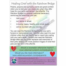 rainbow bridge educational enclosure