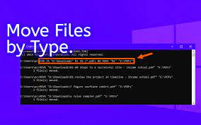 how to move files by type with a simple