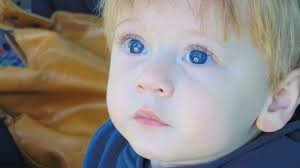 little boy toddler blue eyes adorable