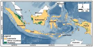 tropical peatland in indonesia
