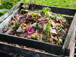 your compost bin