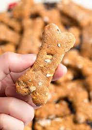 pumpkin dog treats with apples and oats