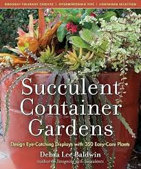 Succulent Container Gardens Design Eye