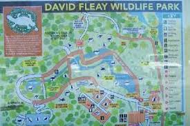 David_Fleay_Wildlife_Park/David-Fleay-Wildlife-Park