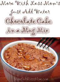 Just Add Water Mug Cake Recipe gambar png