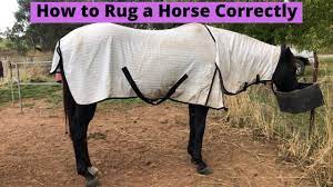 how to rug a horse correctly you