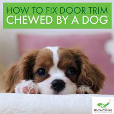 How To Fix Door Trim Chewed By A Dog - Home Painters Toronto