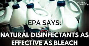 Natural Alternatives to Bleach Found Equally Effective Says EPA